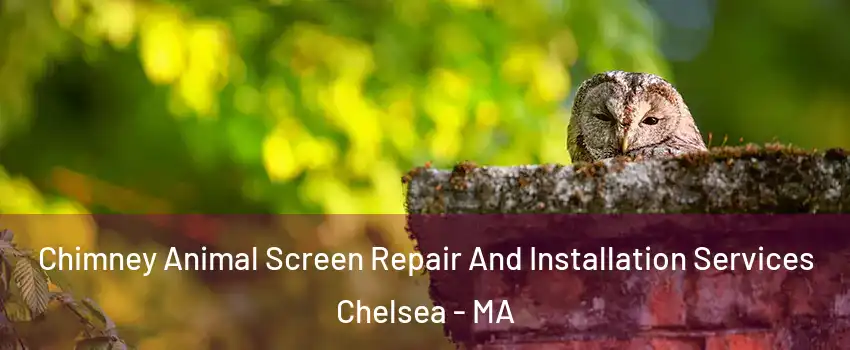  Chimney Animal Screen Repair And Installation Services Chelsea - MA