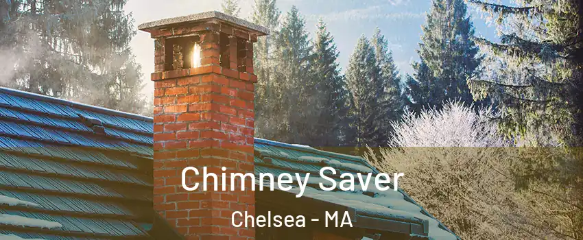  Chimney Saver Chelsea - MA