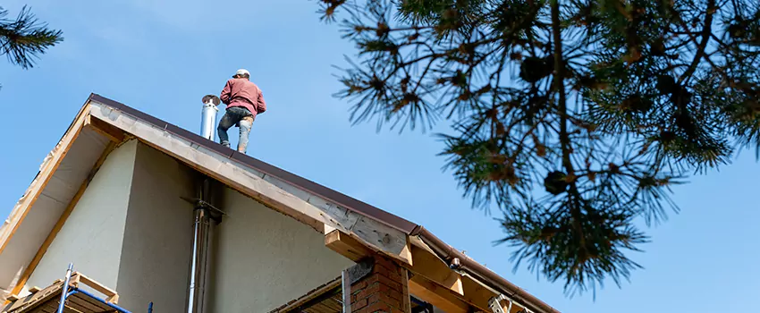 Birds Removal Contractors from Chimney in Chelsea, MA